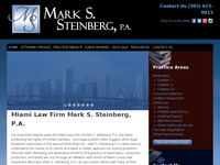 MARK STEINBERG website screenshot