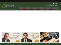 STEVE MEADOWS website screenshot