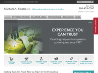MICHAEL SWANN website screenshot