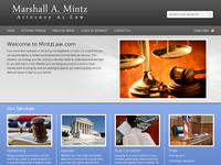 DAVID MINTZ website screenshot