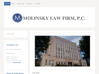 BILL MOLINSKY website screenshot