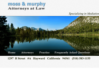 ANN MURPHY website screenshot