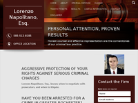 PETER NAPOLITANO website screenshot