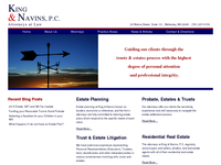 PETER NAVINS website screenshot