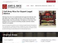 AMY RICE website screenshot