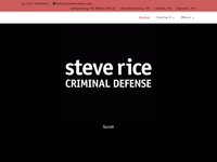 STEVE RICE website screenshot