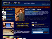 DAVID SALVIN website screenshot