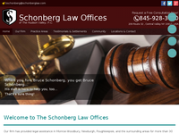 BRUCE SCHONBERG website screenshot