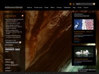 AARON SCHUMACHER website screenshot