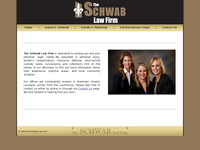 DANNA SCHWAB website screenshot