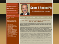 SCOTT REESE website screenshot