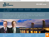 SCOTT HORENSTEIN website screenshot