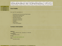RICHARD SHAPIRO website screenshot