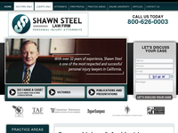 SHAWN STEEL website screenshot