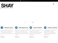 STEVEN SHAY website screenshot