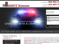 DAVID SHRAGER website screenshot
