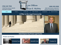 BRIAN SKIBBY website screenshot