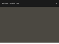 DAVID SKINNER website screenshot