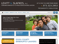 SHELLEY SLAFKES website screenshot