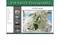 DEBRA SMITH website screenshot