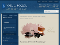 JOEL SOGOL website screenshot