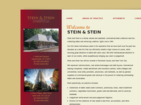 ALISA STEIN website screenshot