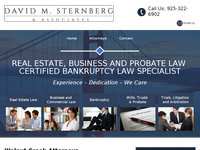 DAVID STERNBERG website screenshot