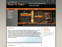 PETER TALEV website screenshot
