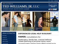 TED WILLIAMS website screenshot
