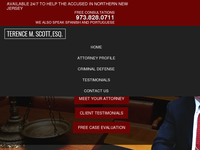 TERENCE SCOTT website screenshot