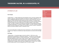 THEODORE SALTER JR website screenshot
