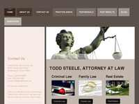 TODD STEELE website screenshot