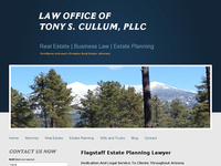 TONY CULLUM website screenshot