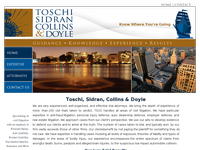 STEVEN TOSCHI website screenshot