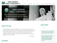 MERYL LIEBERMAN website screenshot