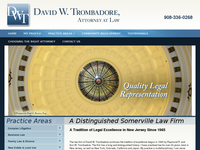 DAVID TROMBADORE website screenshot
