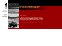 JON VELIE website screenshot