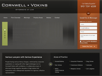 TAI VOKINS website screenshot