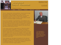 TERRY WASSERMAN website screenshot