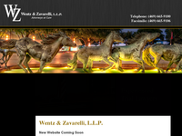 KEVIN WENTZ website screenshot