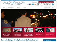 ANN BELL WILSON website screenshot