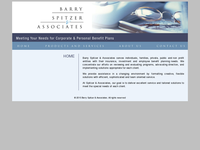 BARRY SPITZER website screenshot